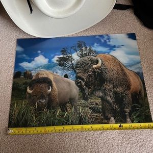 New 3D Poster Bison